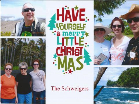 Pamela and Charles Schweiger Family and Agnes vacationing in Hawaii, June 2013