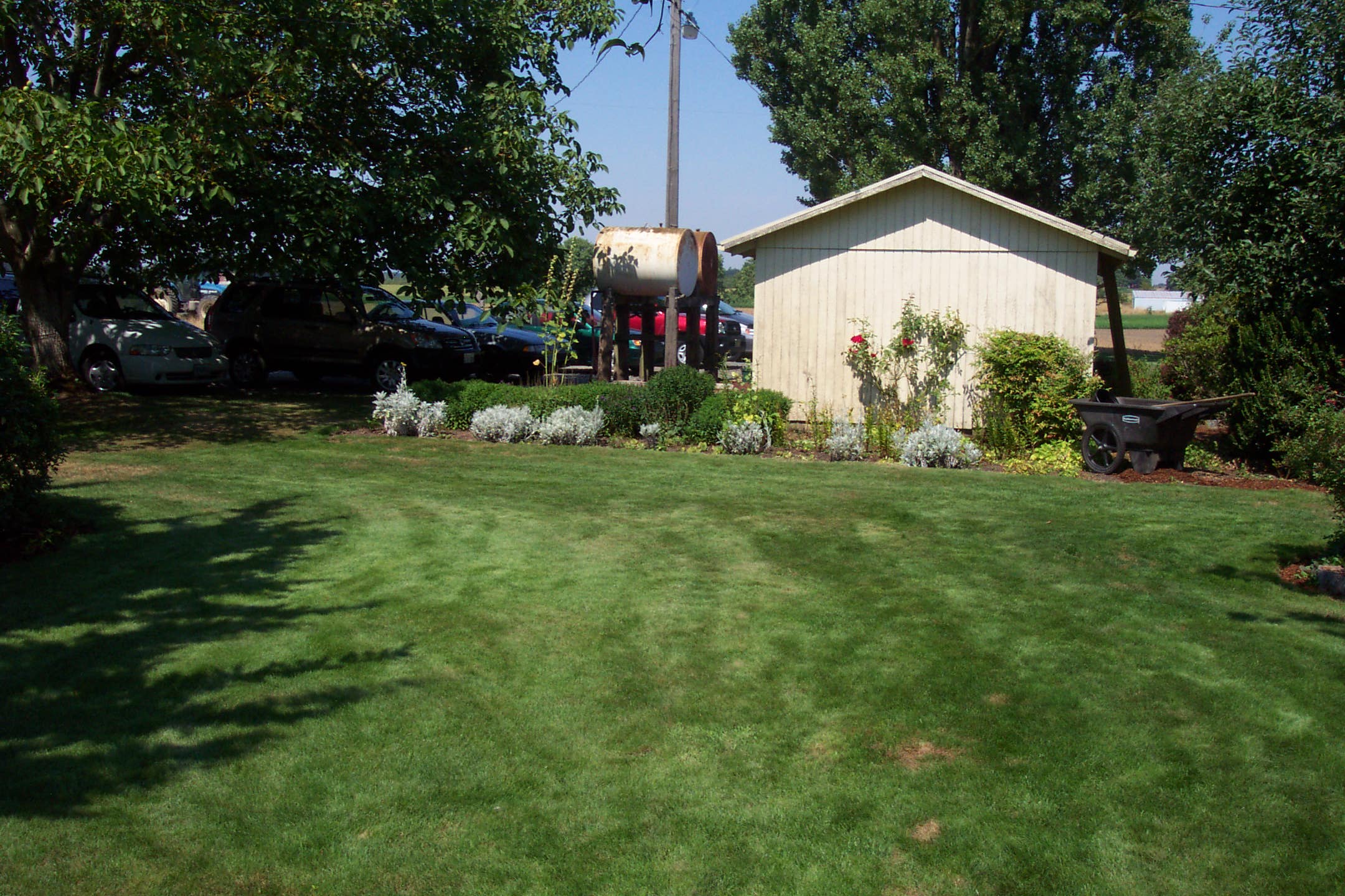 August 16, 2008, yard of Joe and Fran's home.