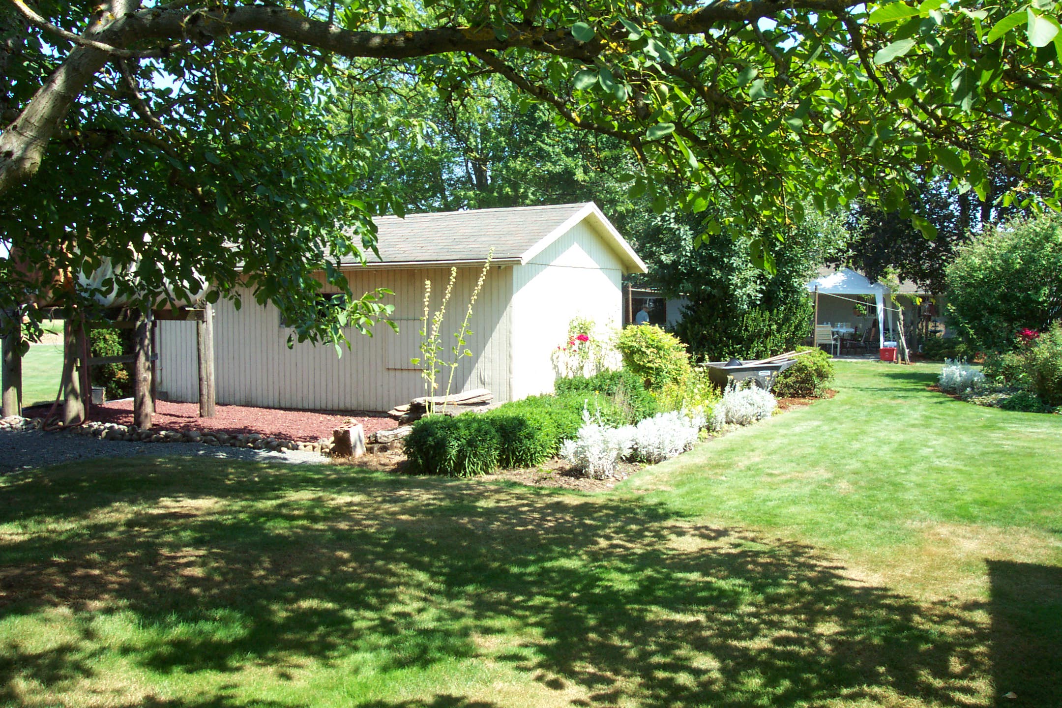 August 16, 2008, yard of Joe and Fran's home.