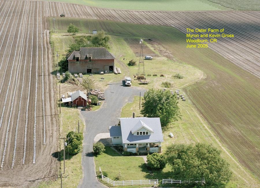 Taken in June 2005...Oster Farm I, a 52 acre farm in Woodburn, Oregon of brothers Myron and Kevin Gross