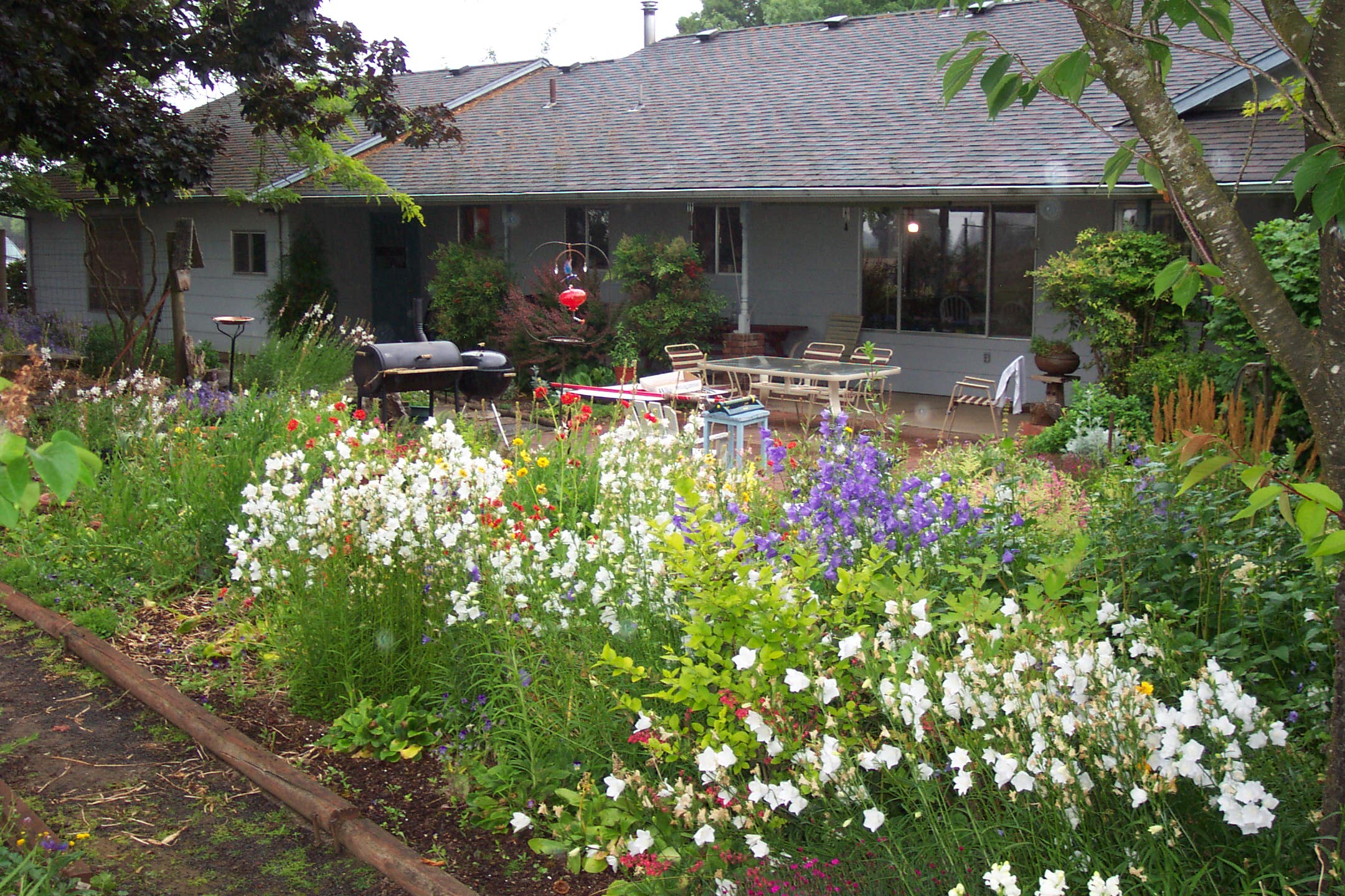 Myron and Keven's second farm, Oster II, Woodburn, Oregon, June 2007