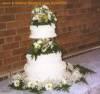 Jason and Kristine Wedding - Photo taken from Sinnott Family Tree