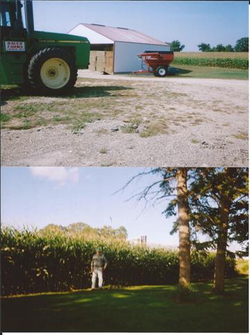 Jack and Clara's farm in 2011