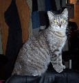 Lucy