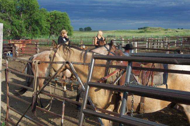 On Cindy and Randy's farm, Bismarck, ND, August 3, 2005