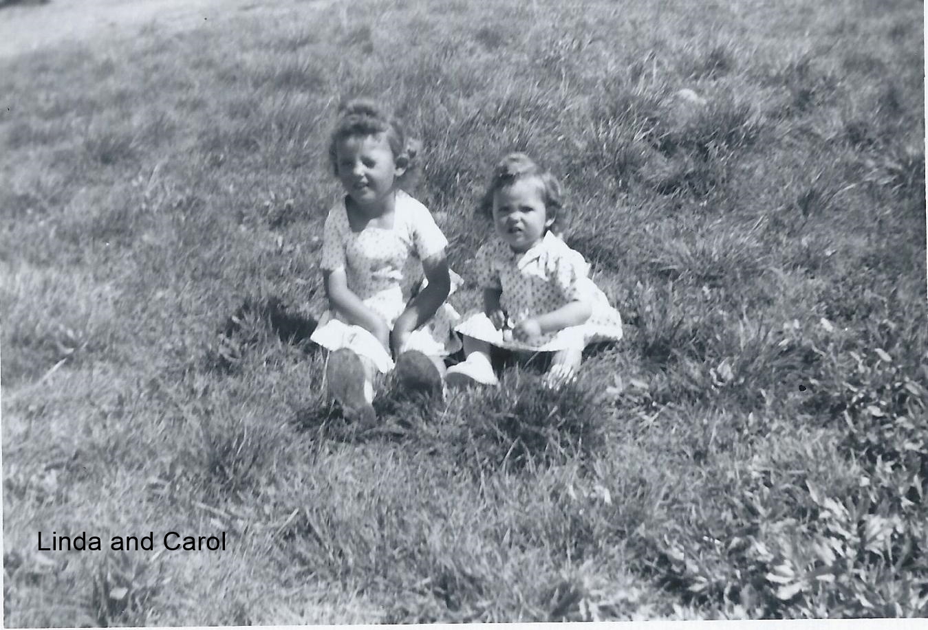 Linda and Carol Gross.
