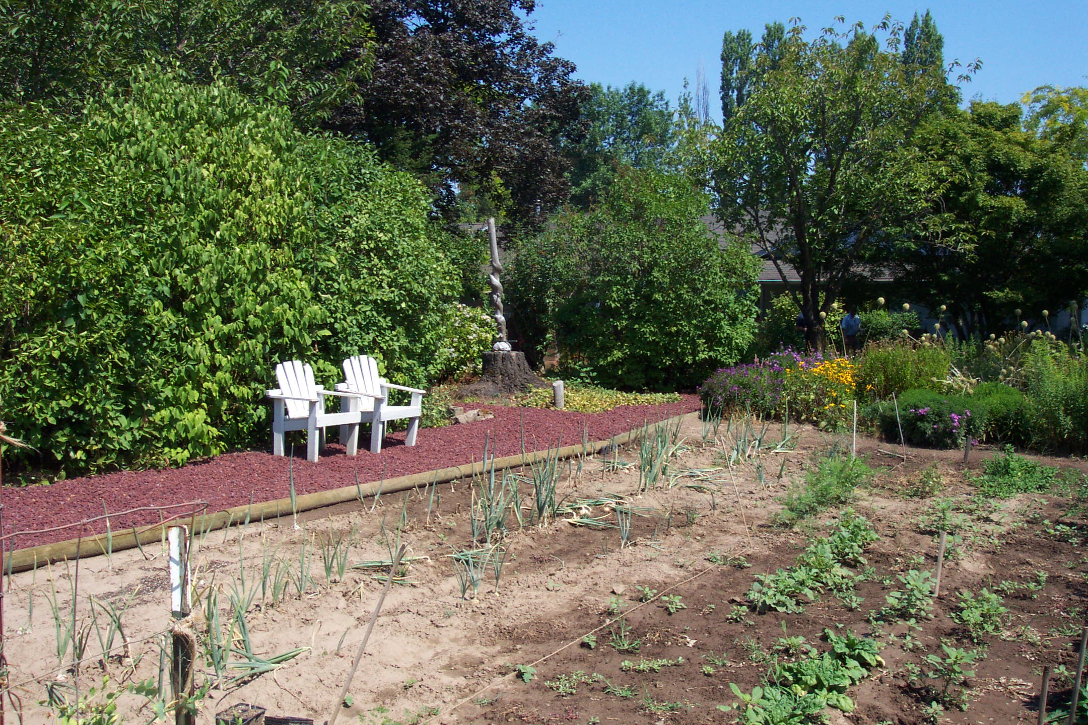 August 16, 2008, yard of Joe and Fran's home.