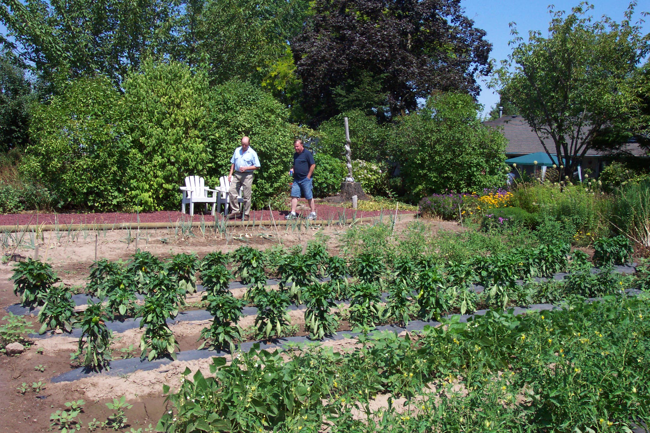 August 16, 2008, yard of Joe and Fran's home.