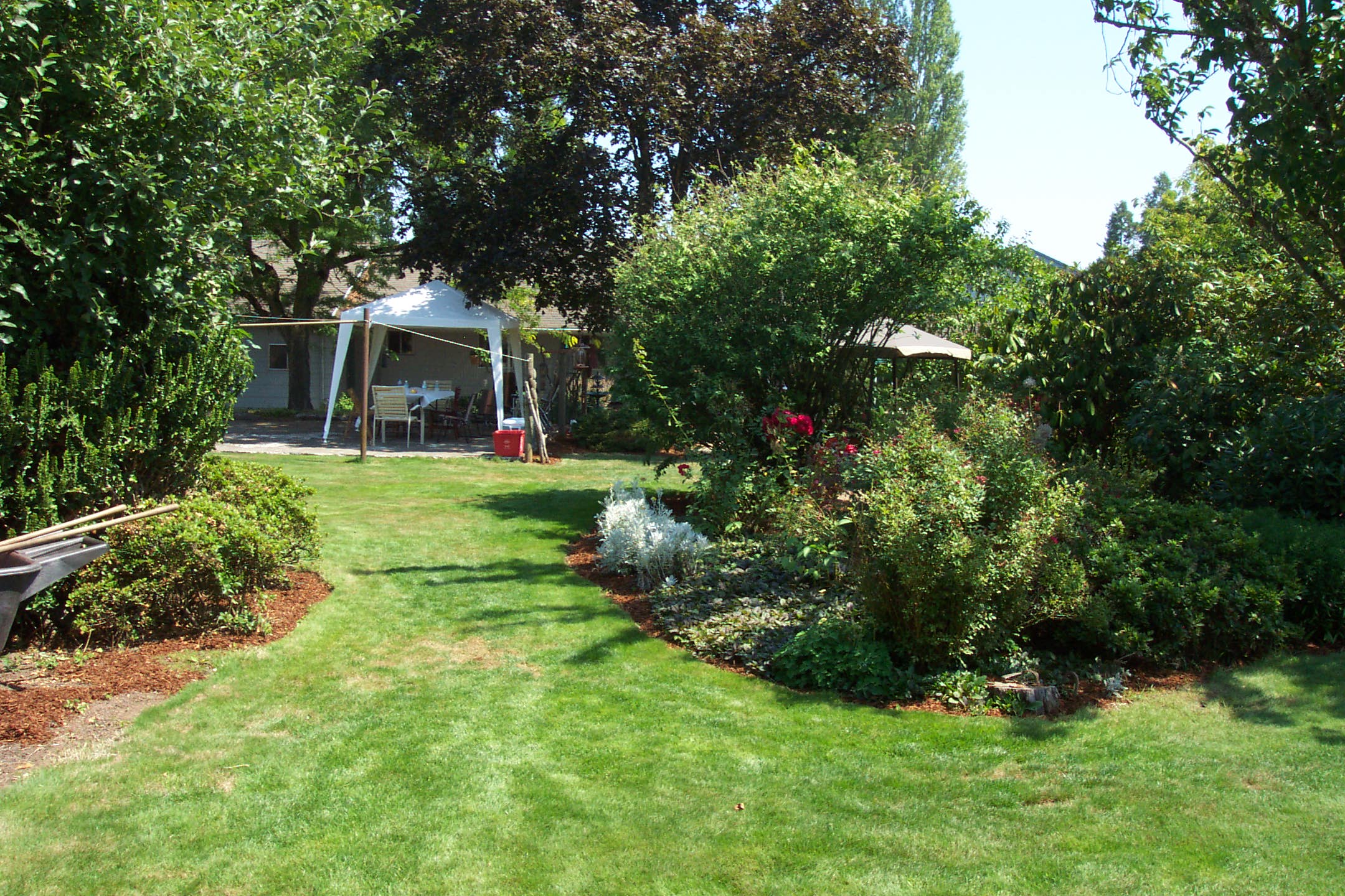 August 16, 2008, yard of Joe and Fran's home.