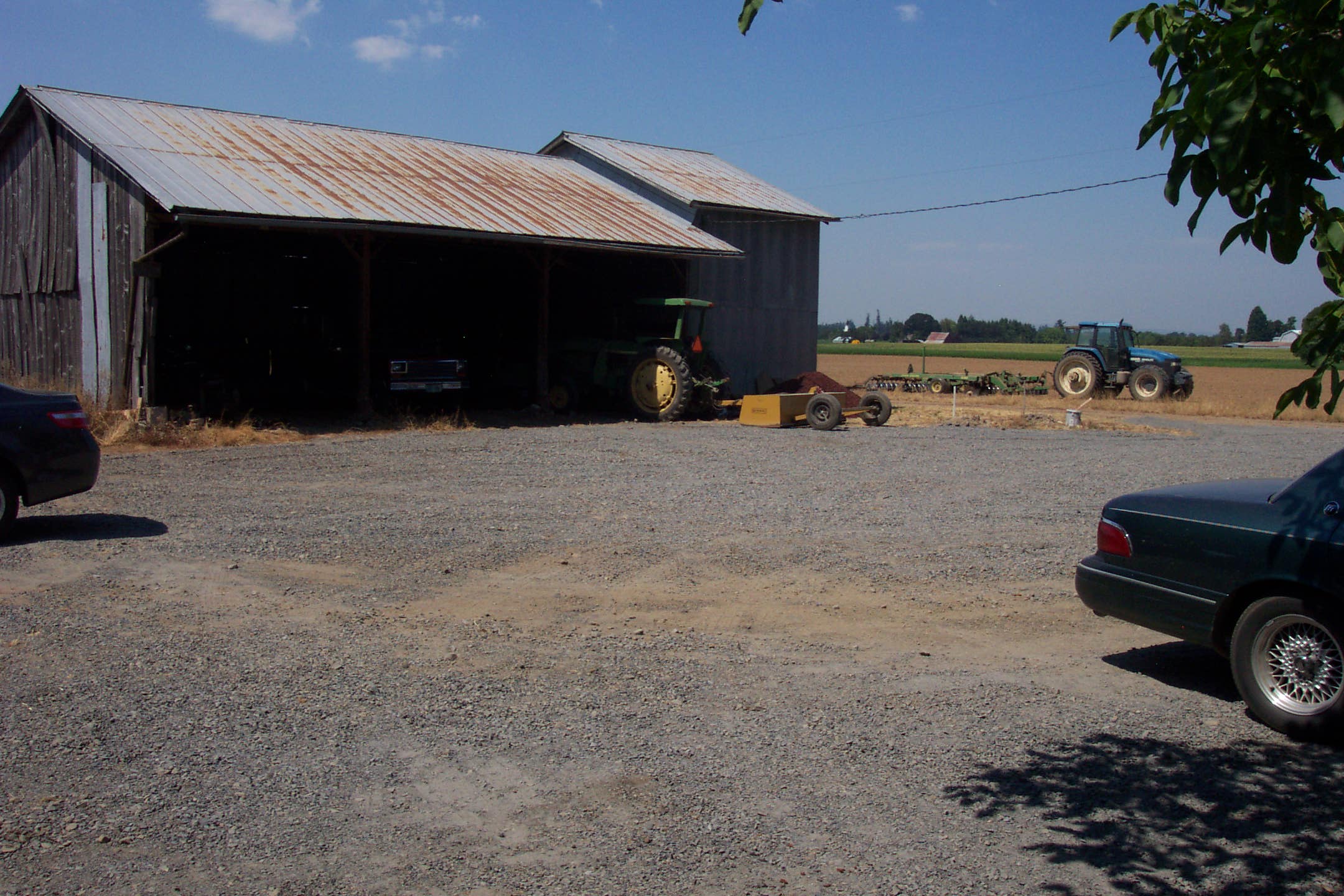 August 16, 2008, yard of Joe and Fran's home.