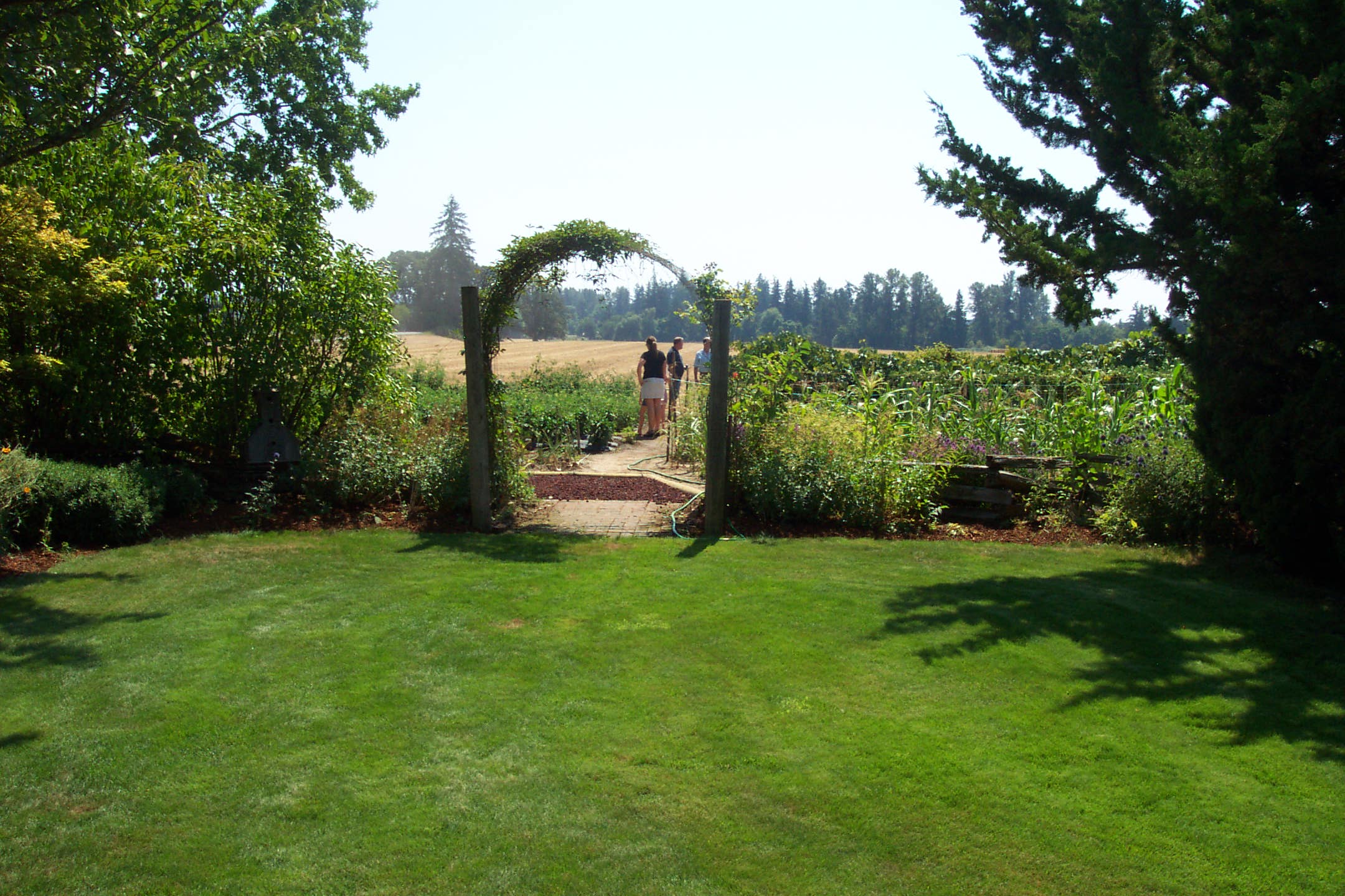 August 16, 2008, yard of Joe and Fran's home.