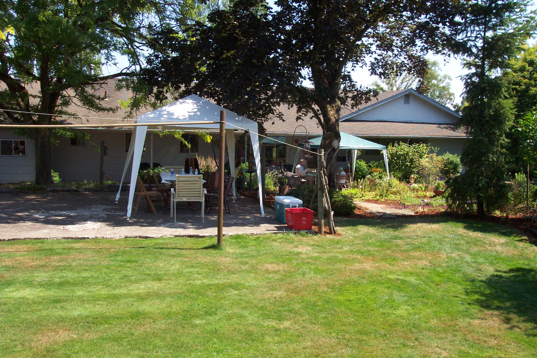 August 16, 2008, yard of Joe and Fran's home.