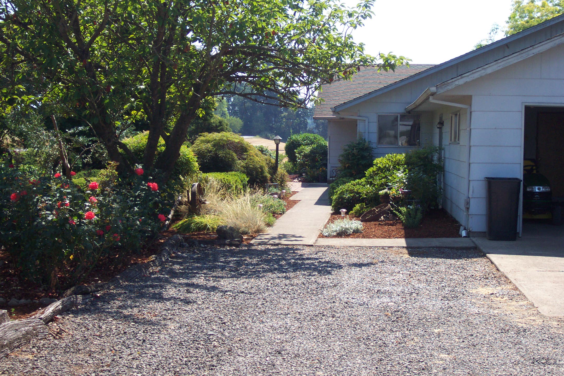 August 16, 2008, yard of Joe and Fran's home.