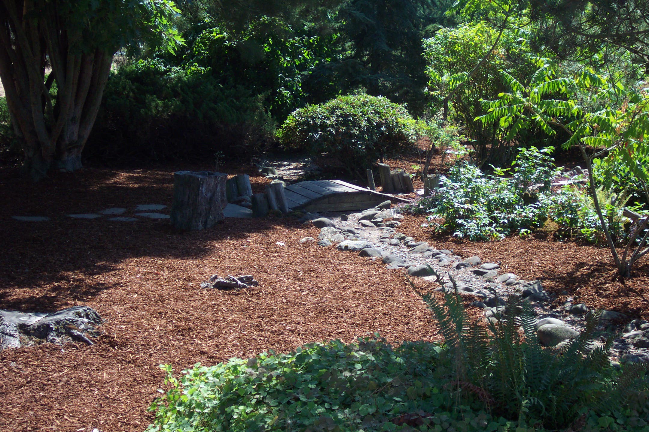 August 16, 2008, yard of Joe and Fran's home.