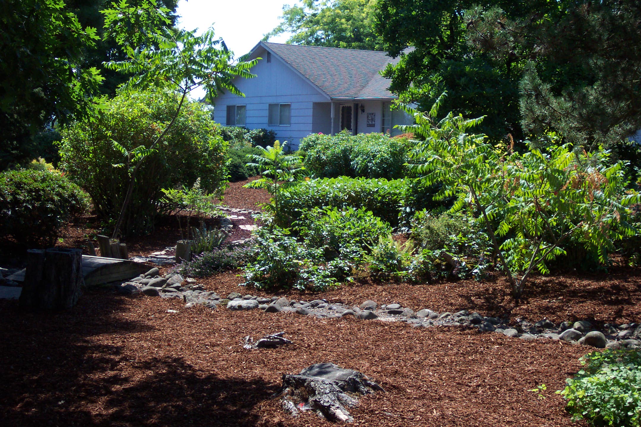 August 16, 2008, yard of Joe and Fran's home.