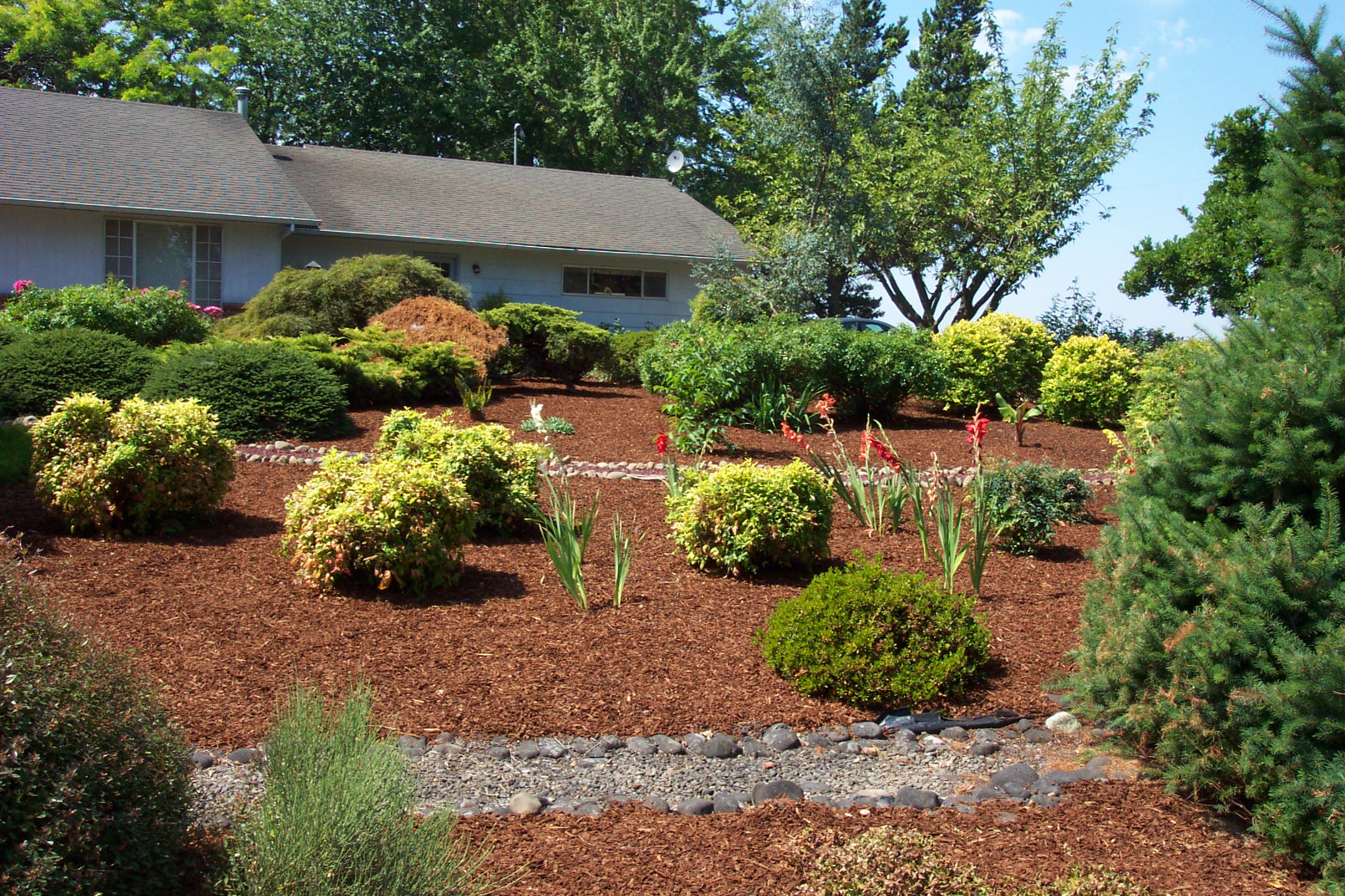 August 16, 2008, yard of Joe and Fran's home.