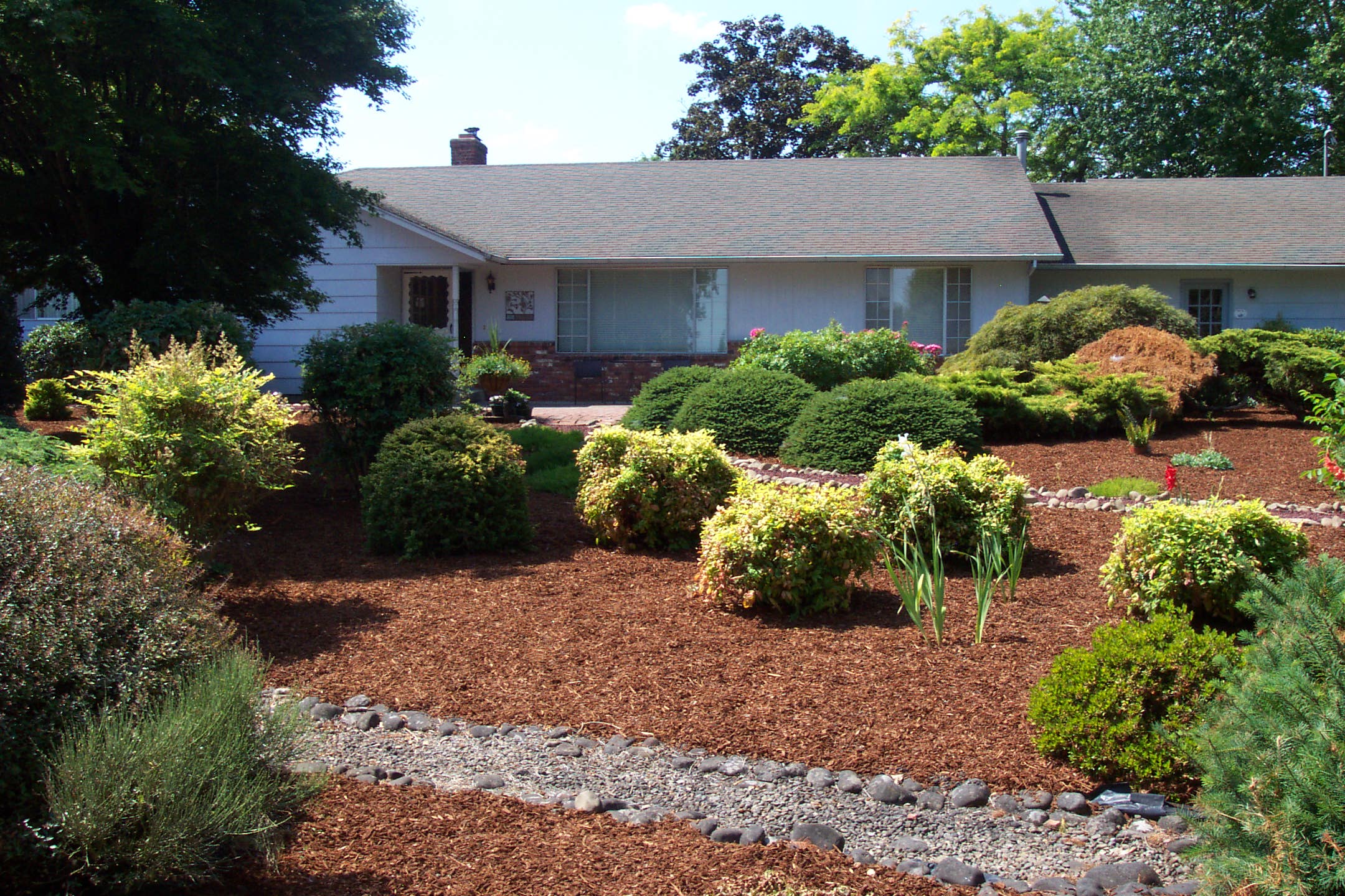 August 16, 2008, yard of Joe and Fran's home.