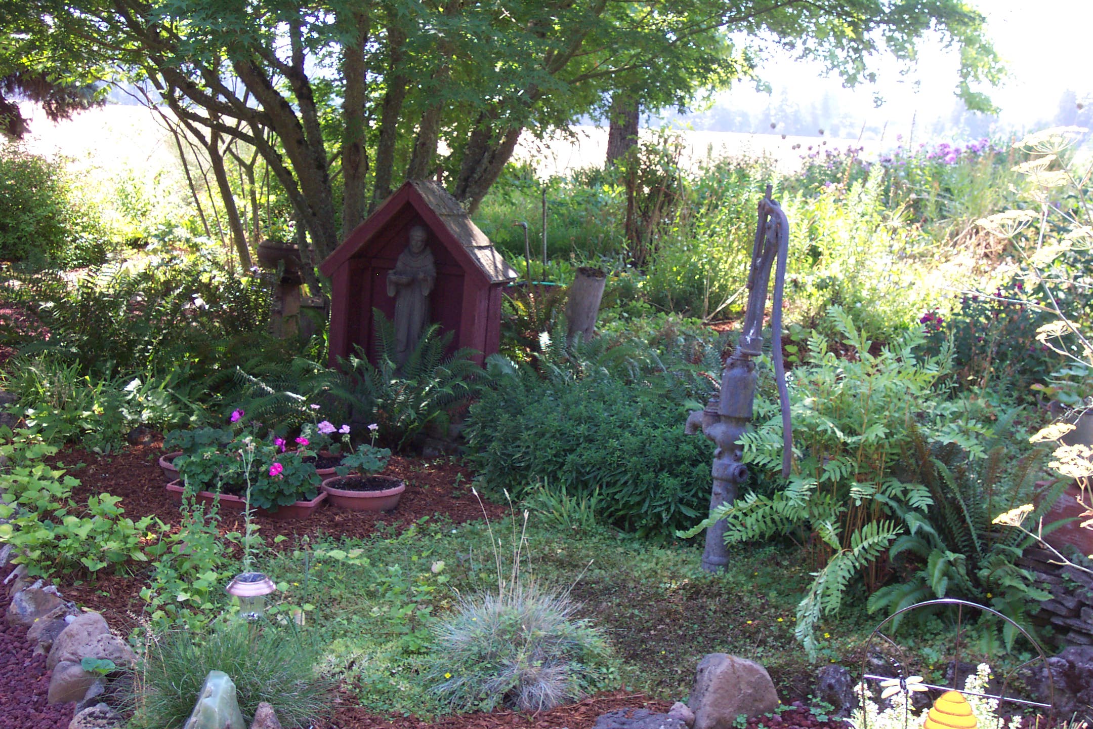 August 16, 2008, yard of Joe and Fran's home.