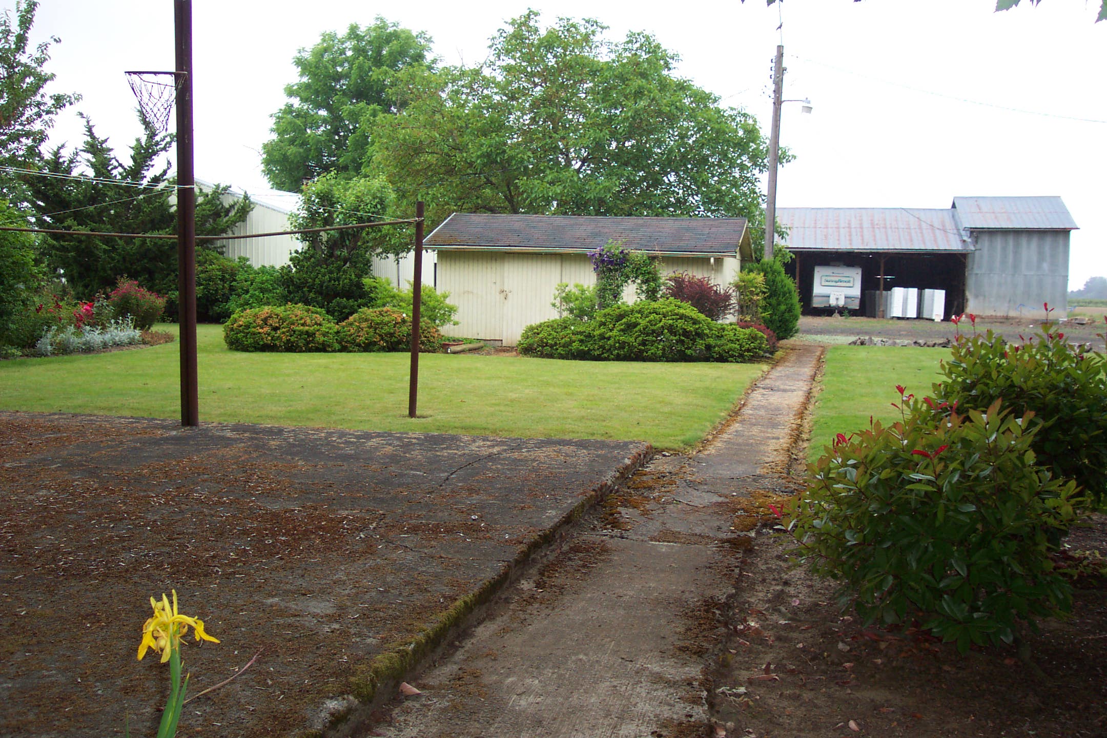 Myron and Keven's second farm, Oster II, Woodburn, Oregon, June 2007