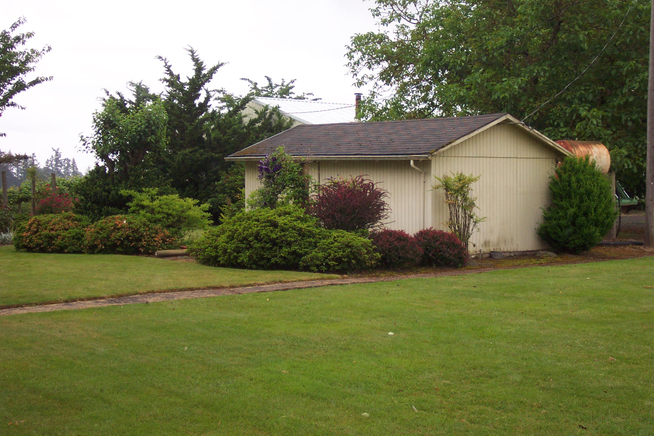 Myron and Keven's second farm, Oster II, Woodburn, Oregon, June 2007