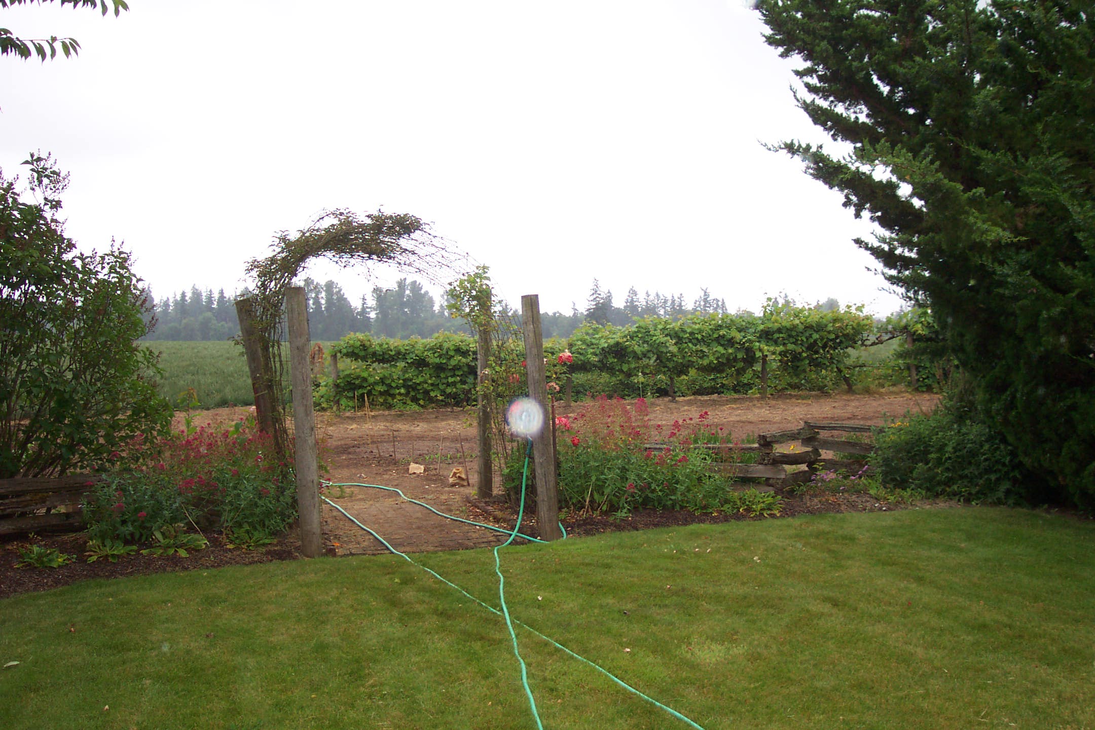 Myron and Keven's second farm, Oster II, Woodburn, Oregon, June 2007