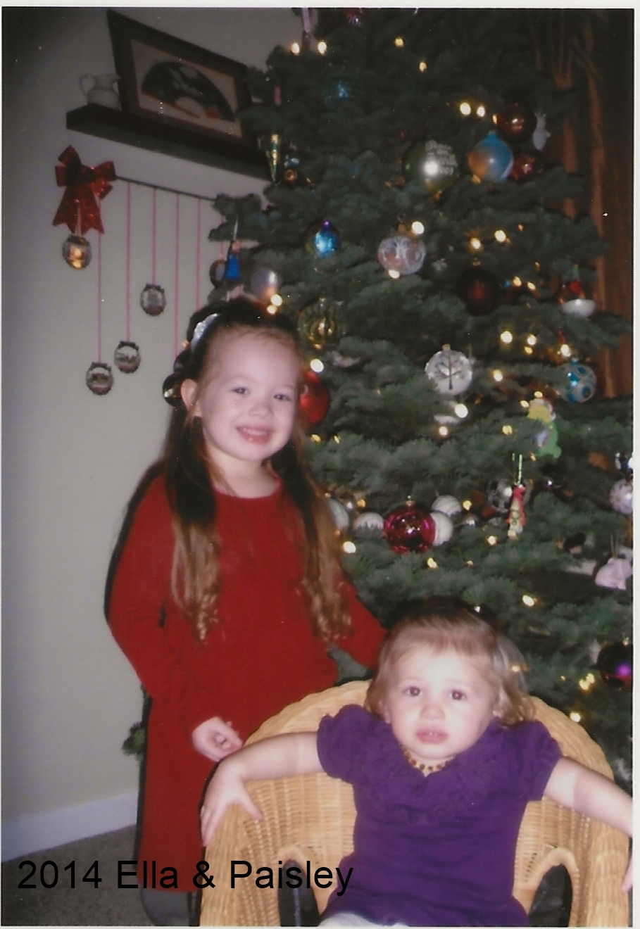 12-15-2014 Paisley and Ella at home.